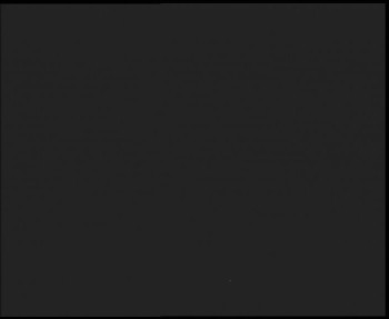 Snímek 6.11.2025 v 05:45