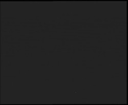 Nástup na běžecké tratě