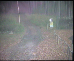 Nástup na běžecké tratě