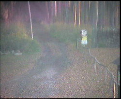 Nástup na běžecké tratě