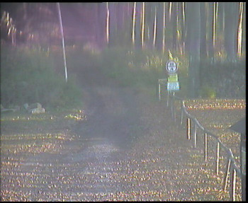 Snímek 6.11.2025 v 07:30