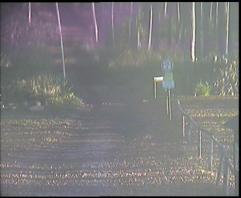 Snímek 6.11.2025 v 07:45