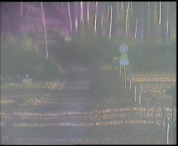 Snímek 6.11.2025 v 08:00