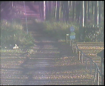 Snímek 6.11.2025 v 08:30