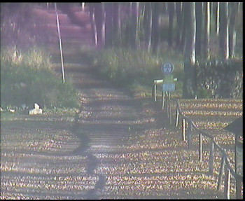 Snímek 6.11.2025 v 09:00