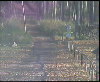 Snímek 6.11.2025 v 09:15