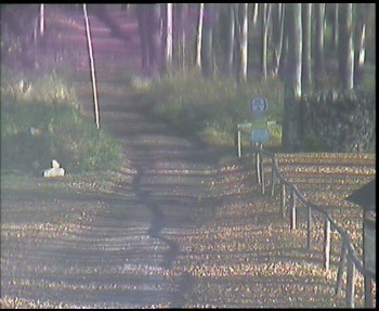 Snímek 6.11.2025 v 09:30