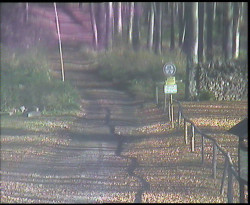 Nástup na běžecké tratě