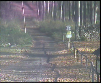 Snímek 6.11.2025 v 10:15