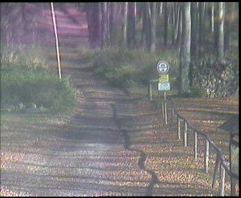 Snímek 6.11.2025 v 11:00