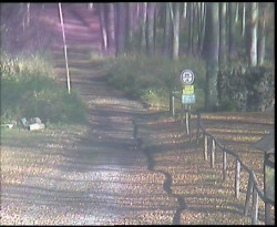 Nástup na běžecké tratě