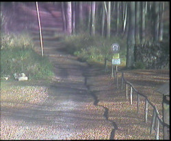 Nástup na běžecké tratě