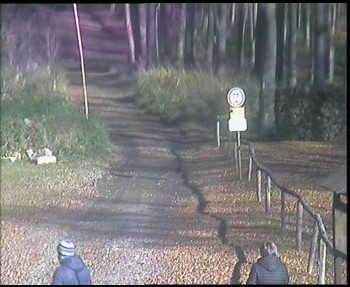 Snímek 6.11.2025 v 11:45