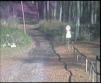 Snímek 6.11.2025 v 12:00