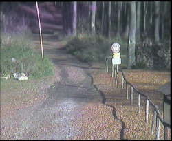 Nástup na běžecké tratě