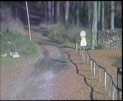 Nástup na běžecké tratě