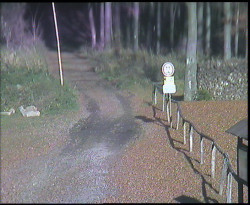 Nástup na běžecké tratě