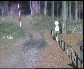 Snímek 6.11.2025 v 14:15