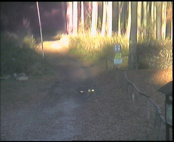 Snímek 6.11.2025 v 14:45