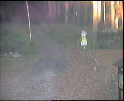 Nástup na běžecké tratě