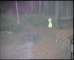 Nástup na běžecké tratě