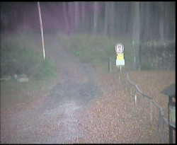 Nástup na běžecké tratě