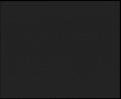 Nástup na běžecké tratě