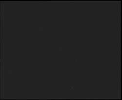 Nástup na běžecké tratě