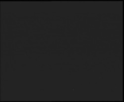 Nástup na běžecké tratě