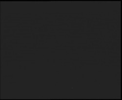 Nástup na běžecké tratě