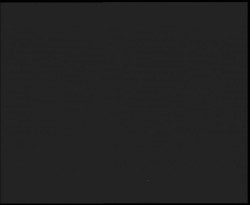 Nástup na běžecké tratě