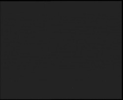 Nástup na běžecké tratě