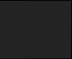 Nástup na běžecké tratě