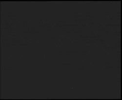 Nástup na běžecké tratě