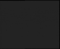 Nástup na běžecké tratě