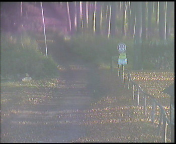 Snímek 7.11.2025 v 08:00