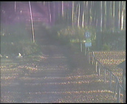 Nástup na běžecké tratě