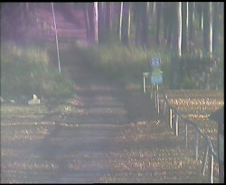 Nástup na běžecké tratě