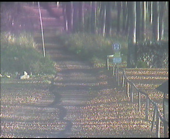 Snímek 7.11.2025 v 09:00