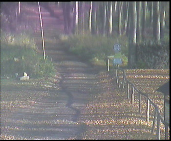 Snímek 7.11.2025 v 09:30