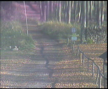 Snímek 7.11.2025 v 09:45