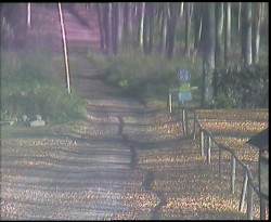 Nástup na běžecké tratě