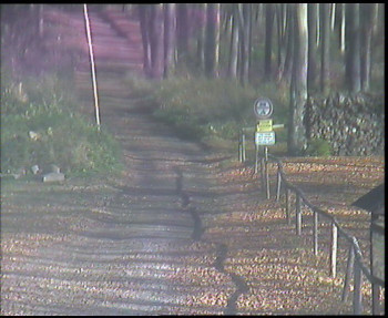 Snímek 7.11.2025 v 10:45