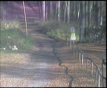 Snímek 7.11.2025 v 11:30