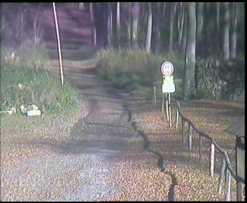 Snímek 7.11.2025 v 12:00