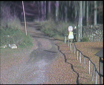 Snímek 7.11.2025 v 12:45