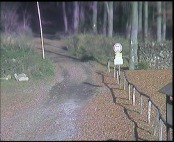 Nástup na běžecké tratě