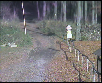 Snímek 7.11.2025 v 13:15