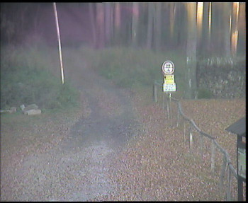 Snímek 7.11.2025 v 15:30