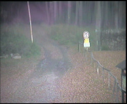 Nástup na běžecké tratě